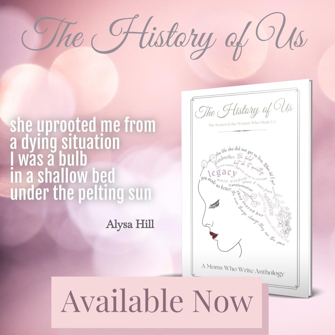 Alysa Hill tweet media