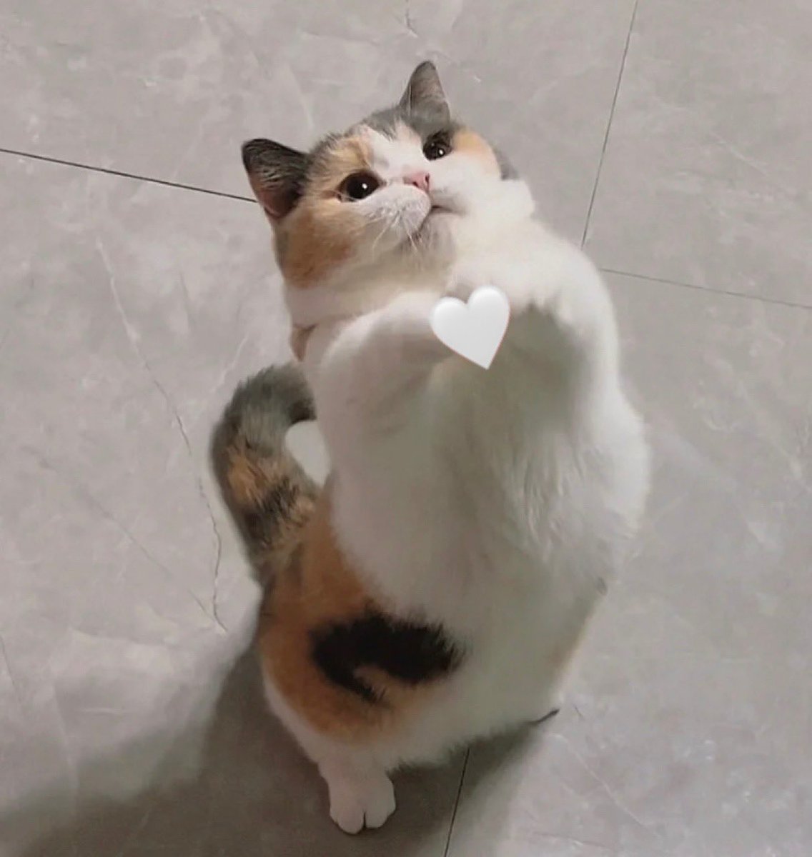 Ioveuspace's tweet image. for you! &amp;lt;3