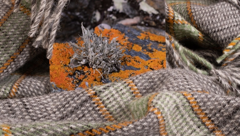 SkyeWeavers's tweet photo. The wait is over!  Our Lichen Check Throws have arrived and are looking fabulous. Read more in our newsletter: https://t.co/EMwfg1aRco #inspiredbynature #skyewool #homeinterior https://t.co/tBm7tlZpQc