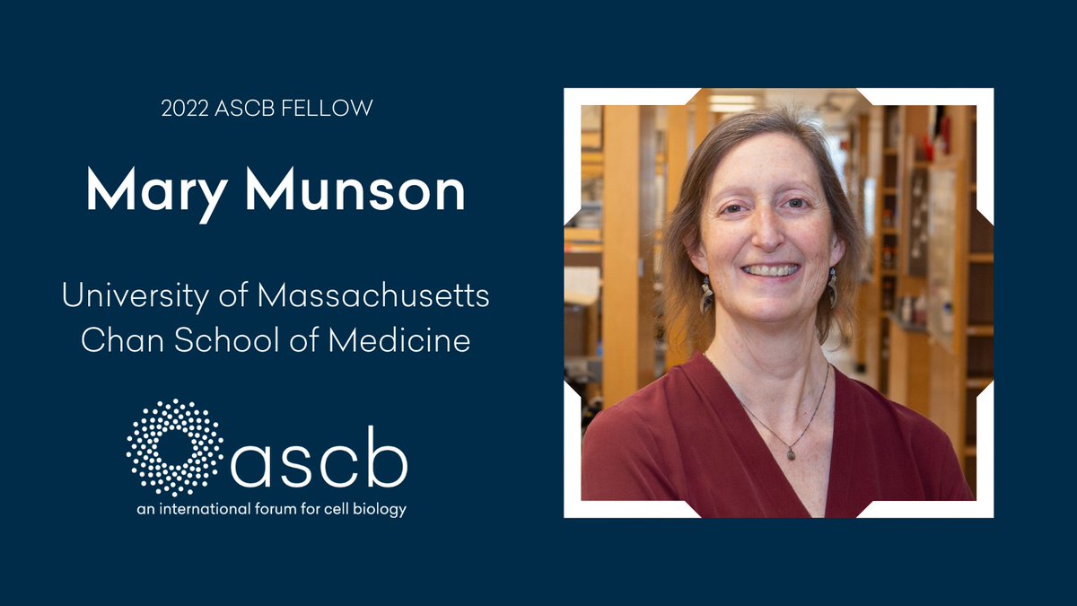 ASCBiology's tweet photo. Mary Munson, Professor, University of Massachusetts Chan School of Medicine has been name a 2022 ASCB Fellow. Congratulations! @UMassChan @mary_munson4 
⚛️https://t.co/JkAB0Lr83o https://t.co/2btCPJSyQ7