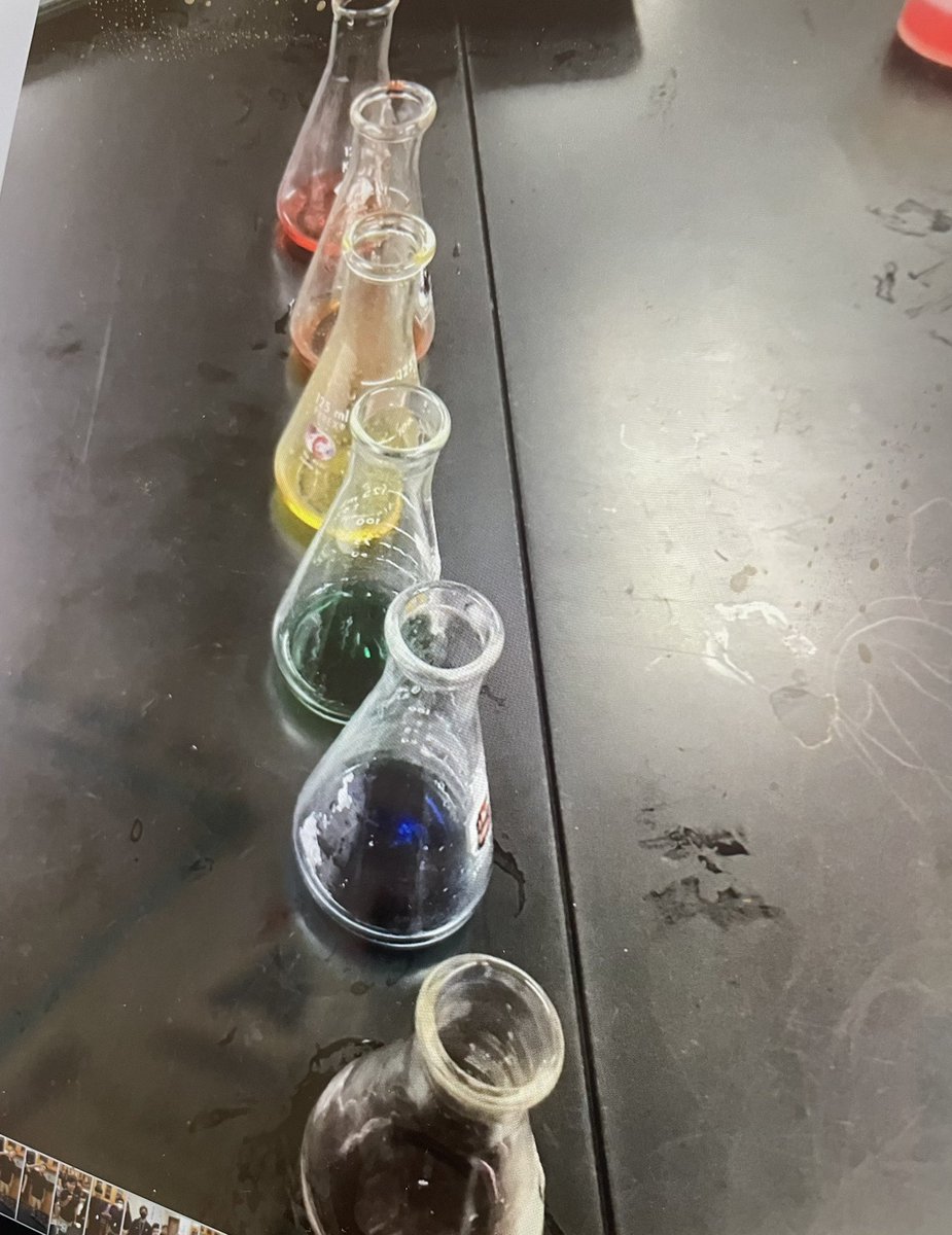 Justine Coalson tweet media