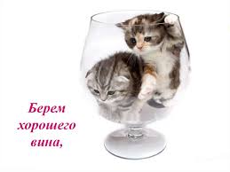 Как прошёл ваш день, дражайшие? Как себя чувствуете?