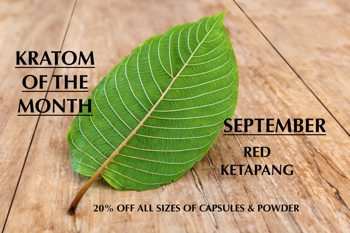 CloverKratom's tweet photo. September Deal of the Month!! 20% off all sizes
#kratom #cloverkratom #kratomofthemonth #redketapang https://t.co/30AuKKjRgi