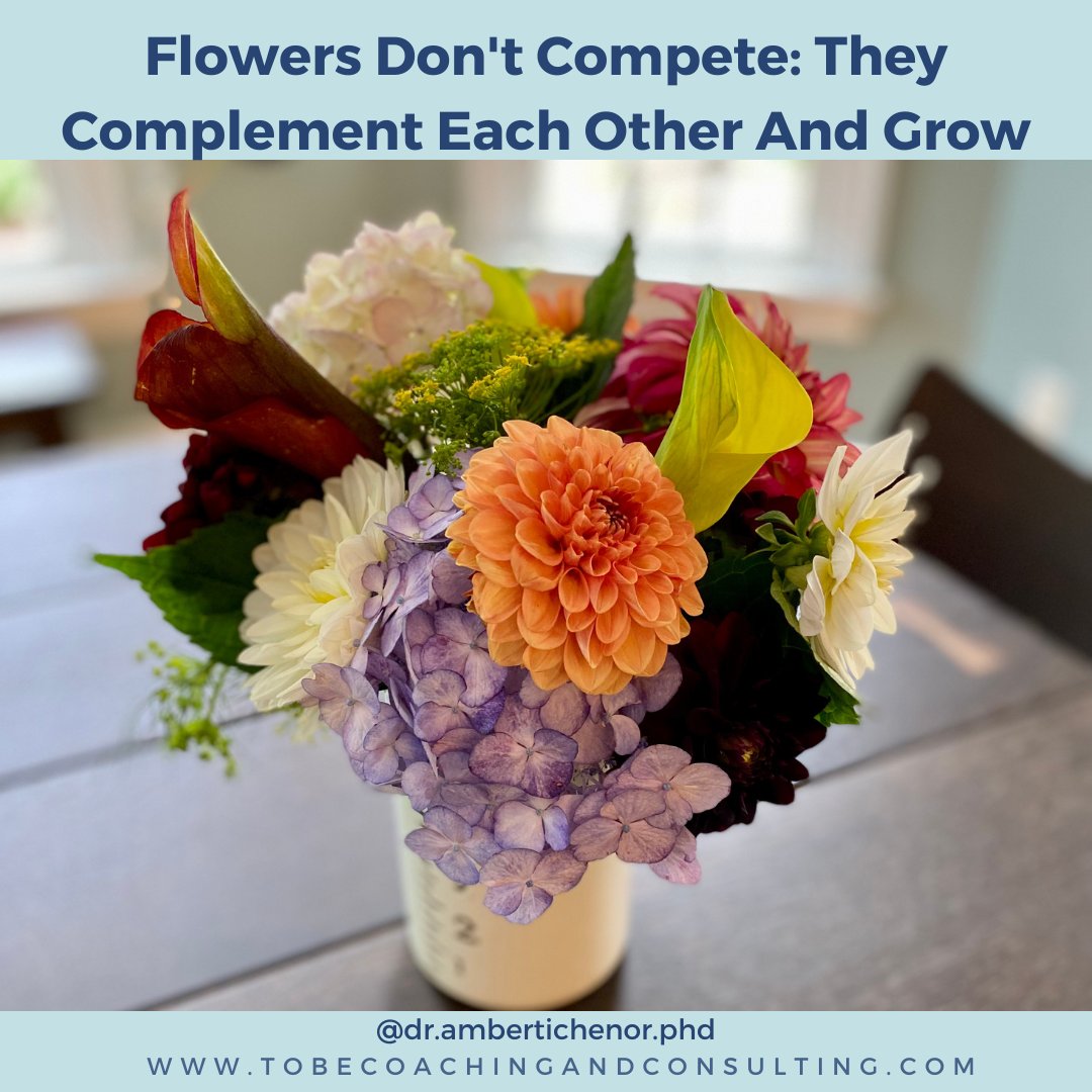 TichenorAmber's tweet photo. ‼️ When you compete and compare... - https://t.co/PZK0OqmSVz https://t.co/zXXR8R73YZ