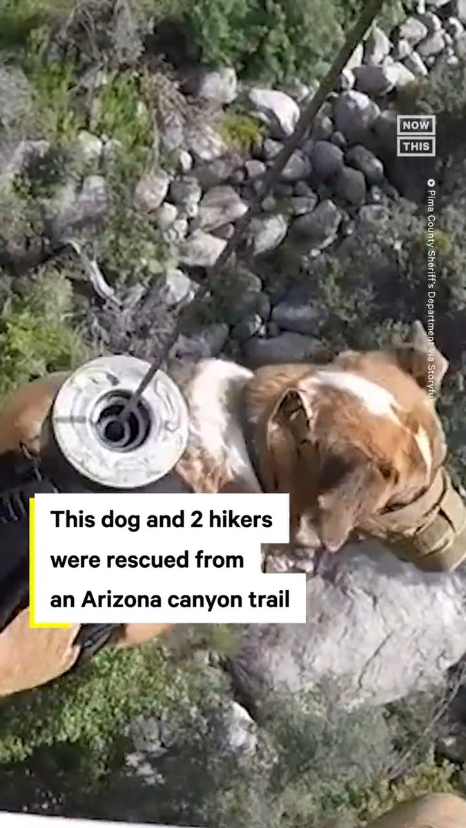 RayManta82 on Twitter "RT nowthisnews This firstperson POV footage