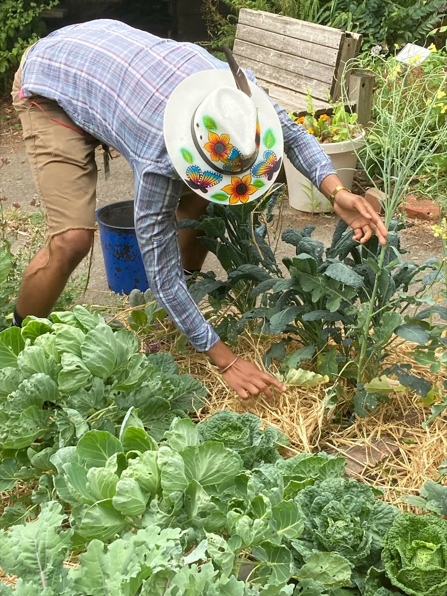 Tilth Alliance tweet media