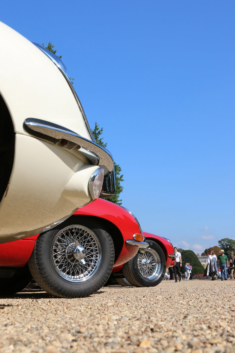 Jaguar E-type Club tweet media