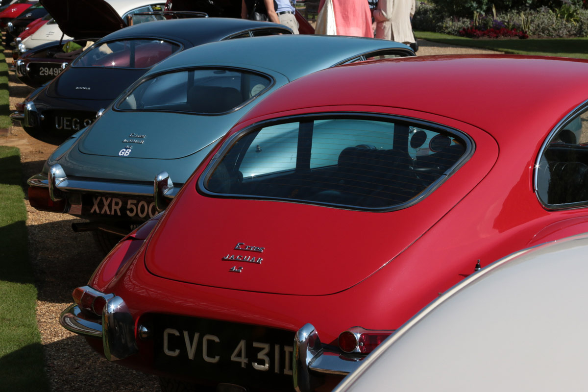 Jaguar E-type Club tweet media