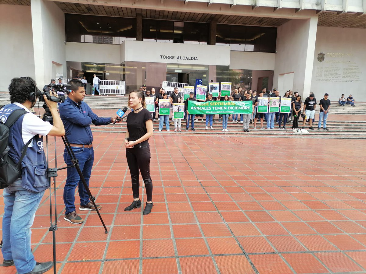 RCAnimal's tweet photo. #Cali Así se vivió la manifestación de animalistas donde visibiliaron a los animales que se han visto afectados por los estruendos de la pólvora. 

En el 2021 según nuestra campaña “De regreso a casa”, en Cali se vieron afectados 1.105 animales por efectos de la pólvora 🧵 https://t.co/9vWtO5OdP6