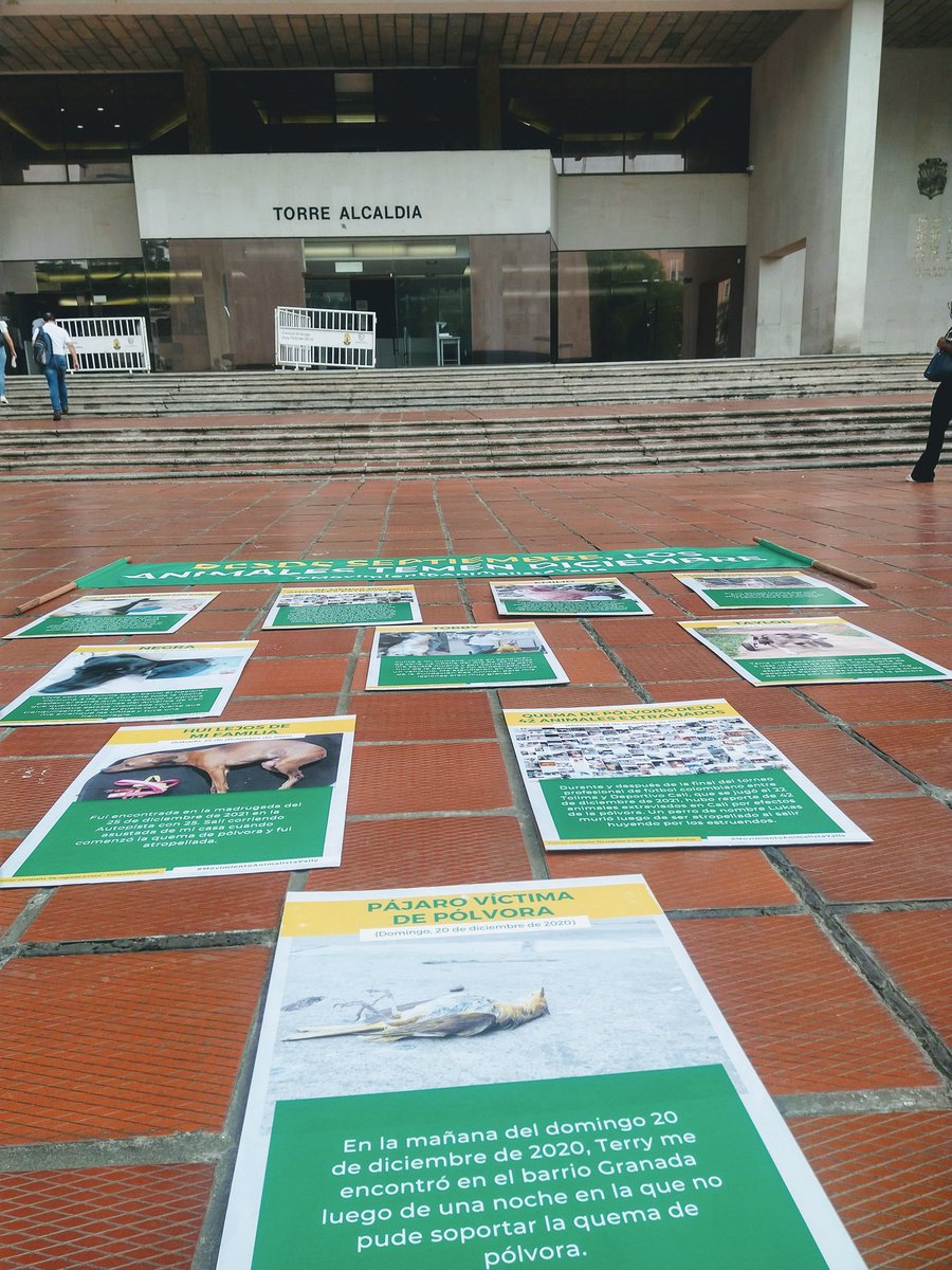 RCAnimal's tweet photo. #Cali Así se vivió la manifestación de animalistas donde visibiliaron a los animales que se han visto afectados por los estruendos de la pólvora. 

En el 2021 según nuestra campaña “De regreso a casa”, en Cali se vieron afectados 1.105 animales por efectos de la pólvora 🧵 https://t.co/9vWtO5OdP6