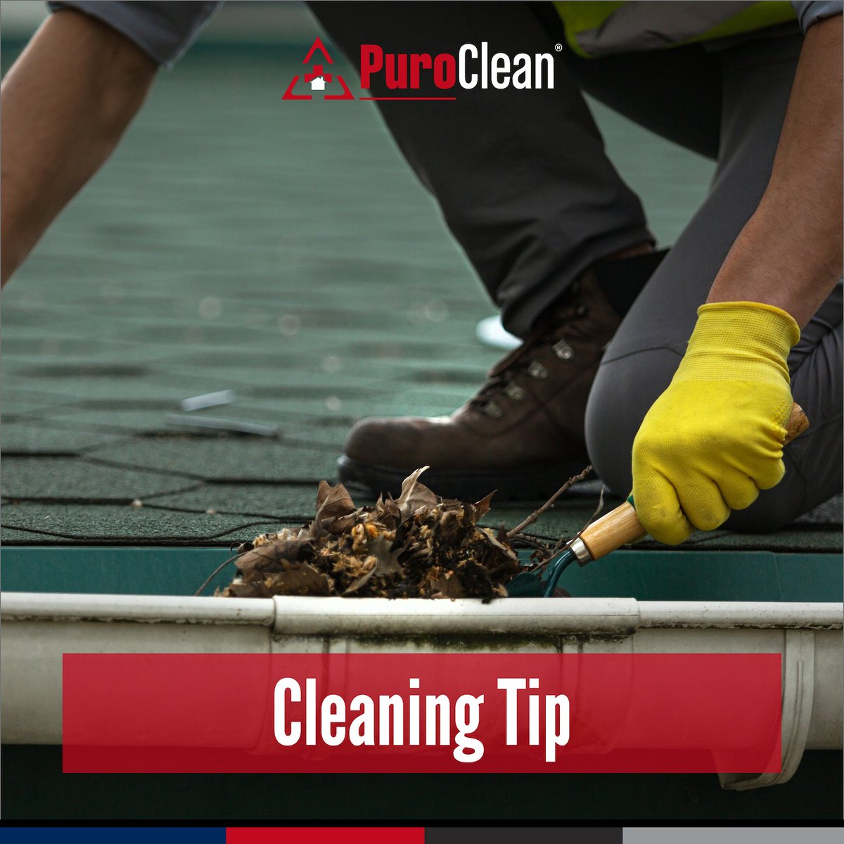 PuroCleanWPB's tweet photo. As leaves fall and outdoor debris accumulates, don't forget to clean your gutters and downspouts as needed. Ensuring they function correctly is a key step in preparing your home for the upcoming winter weather.

#CleaningTip #PuroClean #HomeMaintenance https://t.co/7Ciyq6azTx