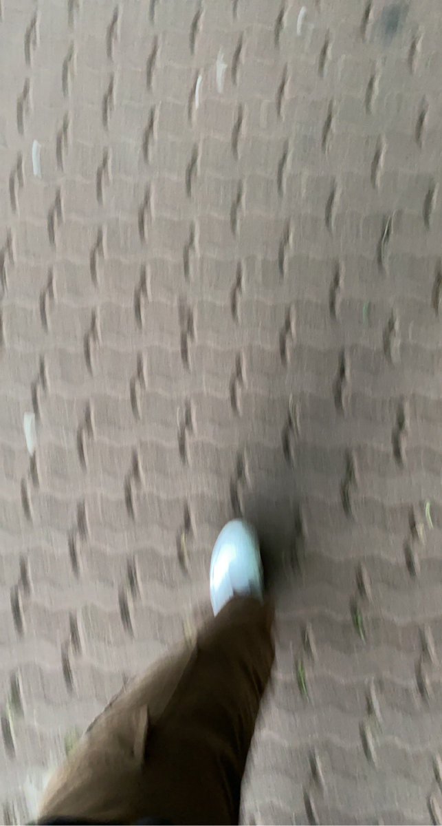 _Zocha__'s tweet photo. zoska na spacerku, zeobilam prawie 18k krokow 😎😎 https://t.co/WU6P7FnR3E