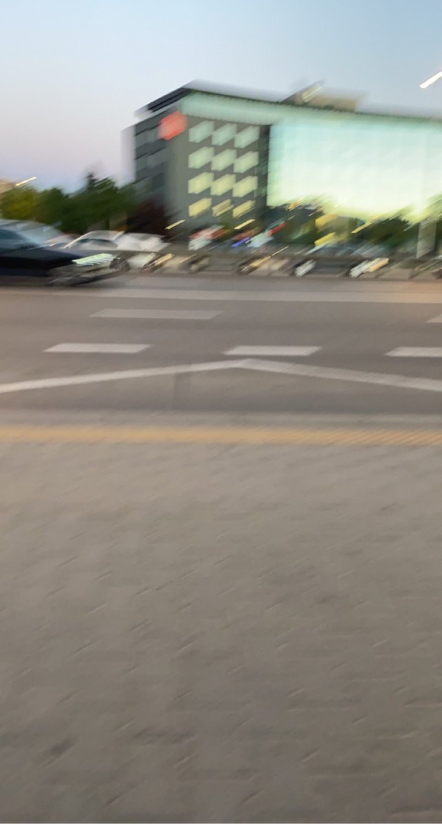 _Zocha__'s tweet photo. zoska na spacerku, zeobilam prawie 18k krokow 😎😎 https://t.co/WU6P7FnR3E