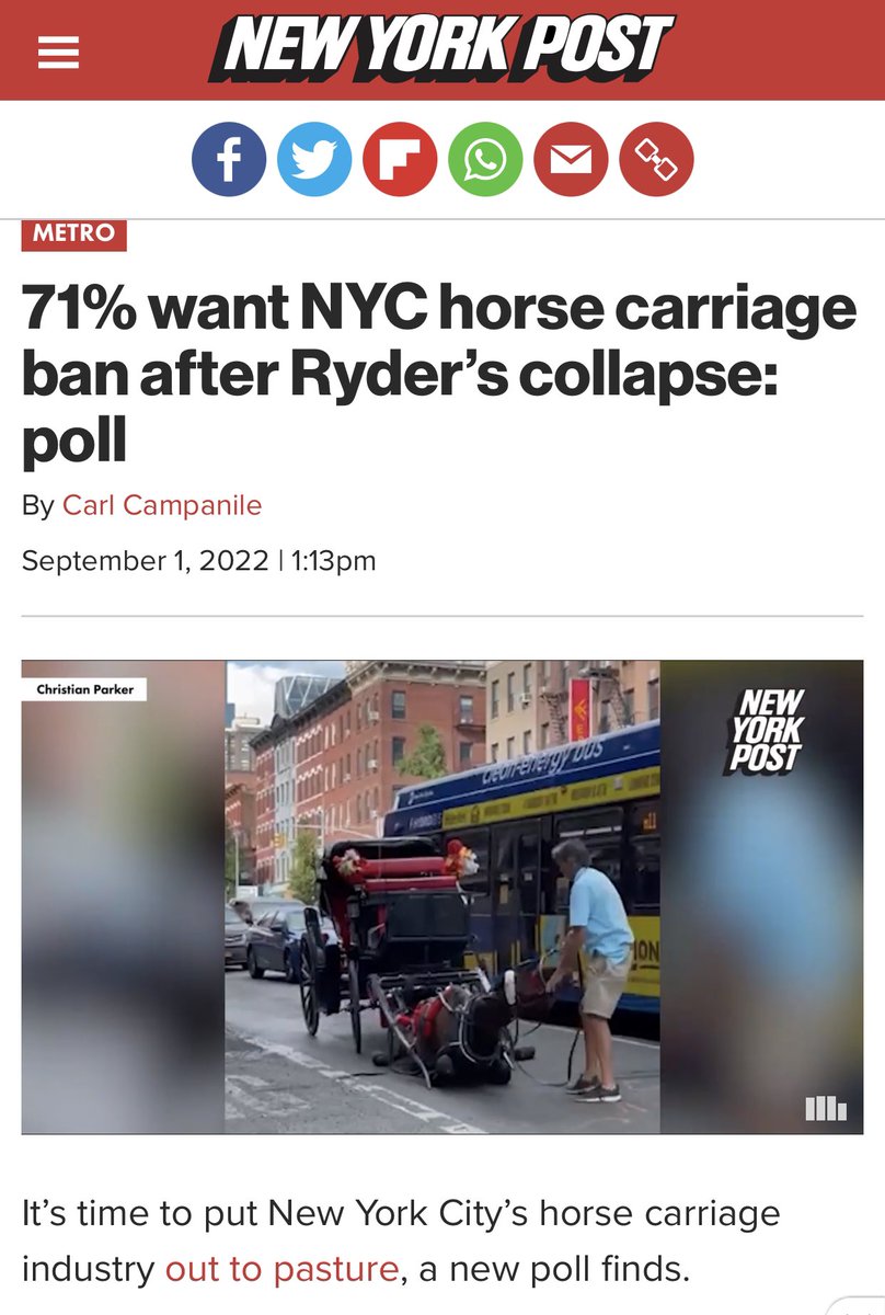 Matt_Dominguez's tweet photo. @NYCSpeakerAdams New Yorkers have politely been asking for action for weeks. 71% support a ban on horse carriages. 

#banhorsecarriagesnyc https://t.co/pA7dcR3aIS