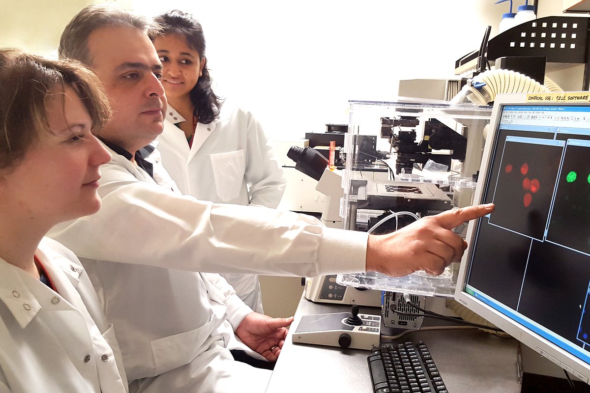 Immune_News's tweet photo. This new @NatureComms study from the lab of Dr. Omid Akbari at @KeckMedUSC highlights the importance of the PD-1/PD-L2 axis in the control of metabolic pathways regulating #pTreg Foxp3 stability and suppressive functions.
💡 Learn more: https://t.co/oURLqT1gDg https://t.co/PK4UktZCCI