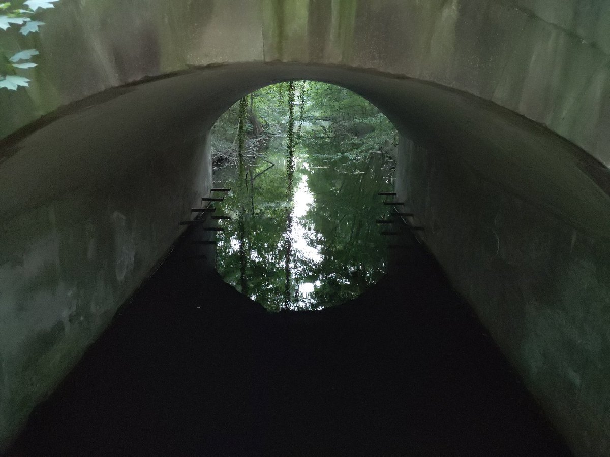 veloman_nrw's tweet image. Ich will nicht alles schlecht reden, in #Voerde #Möllen hat der #Rotbach noch Wasser, wobei es aussieht, als ob dort künstlich Wasser eingelassen wird.
#Radfahren #MdRzA #Niederrhein