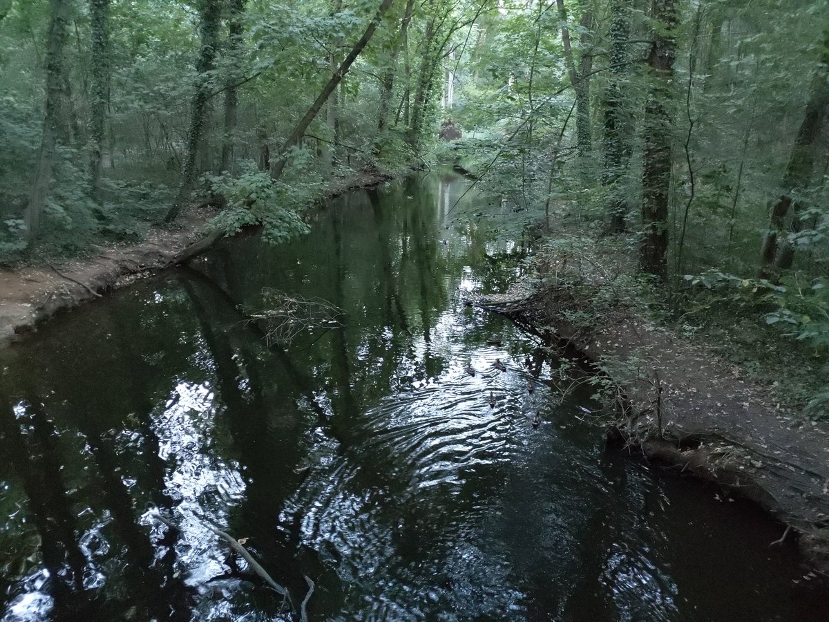 veloman_nrw's tweet image. Ich will nicht alles schlecht reden, in #Voerde #Möllen hat der #Rotbach noch Wasser, wobei es aussieht, als ob dort künstlich Wasser eingelassen wird.
#Radfahren #MdRzA #Niederrhein