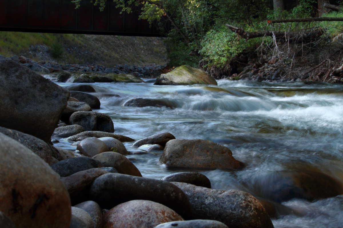 foodafieldpod's tweet image. At every bridge, a good fishing hole. Steampunk fly fishing spots are some of my favourite places. #trainbridge #flyfishing #troutstream #foodafieldpodcast #landscapephotography