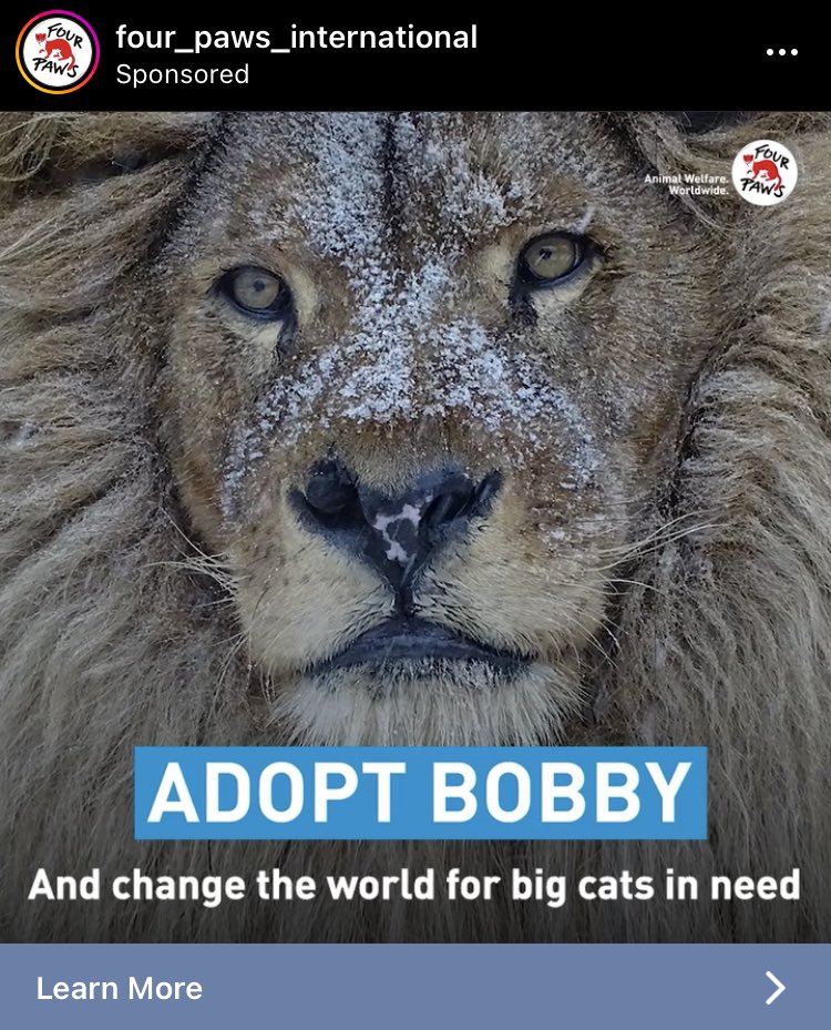p0oker's tweet photo. No thanks. Bobby aint gonna work with tom yum instant noodles and tendies https://t.co/ePM66PLAl7