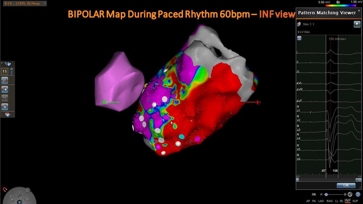 Luca Segreti tweet media