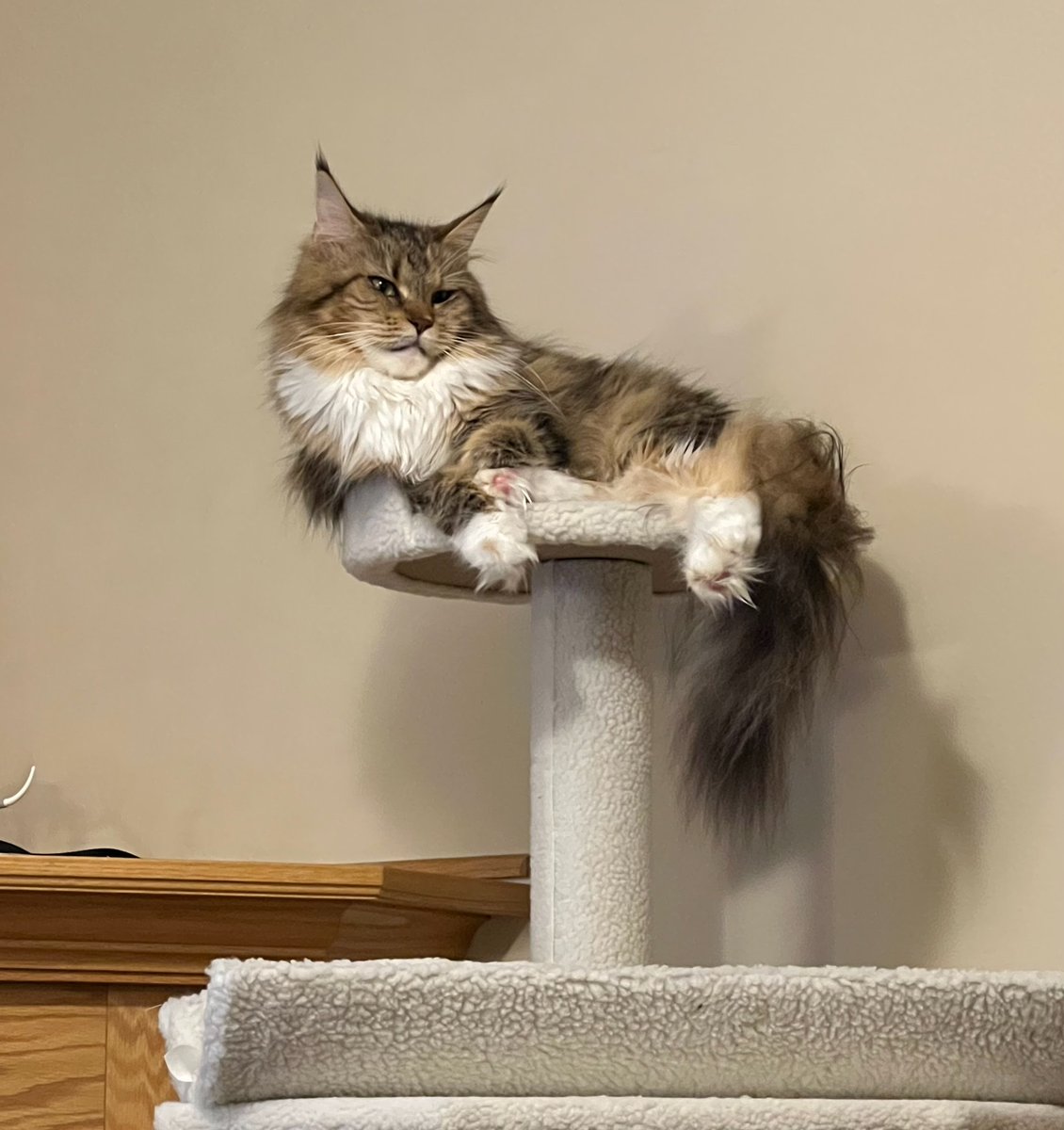 Kevin Riggins tweet media