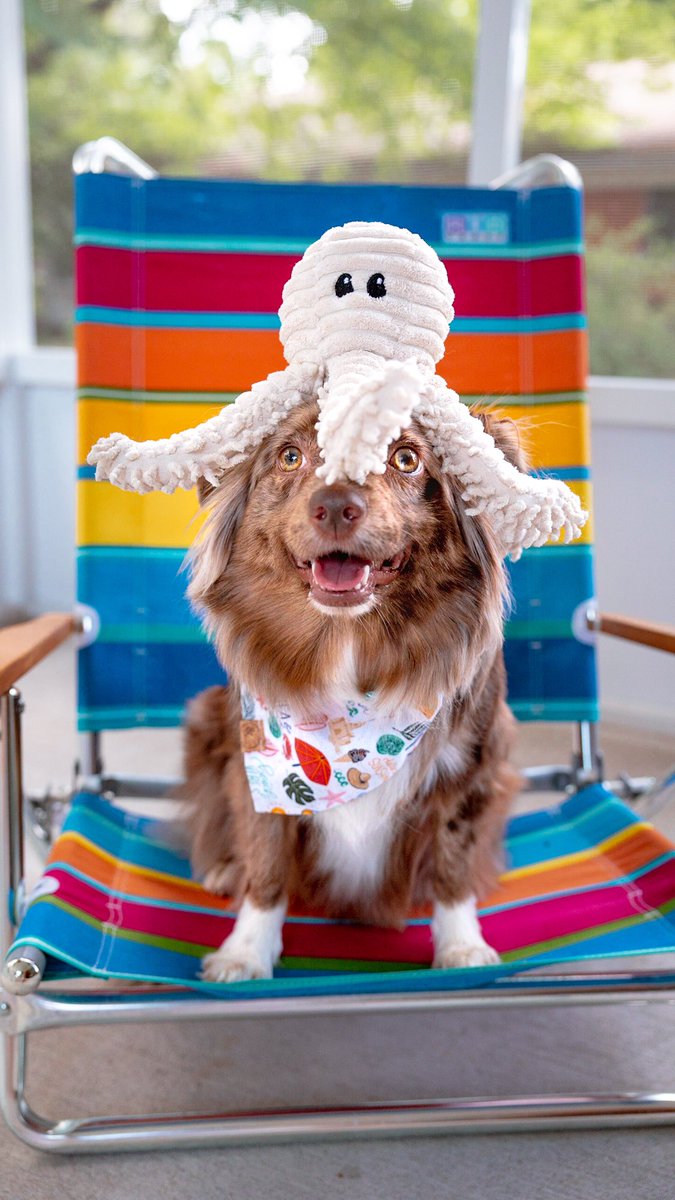 Where did summer go???