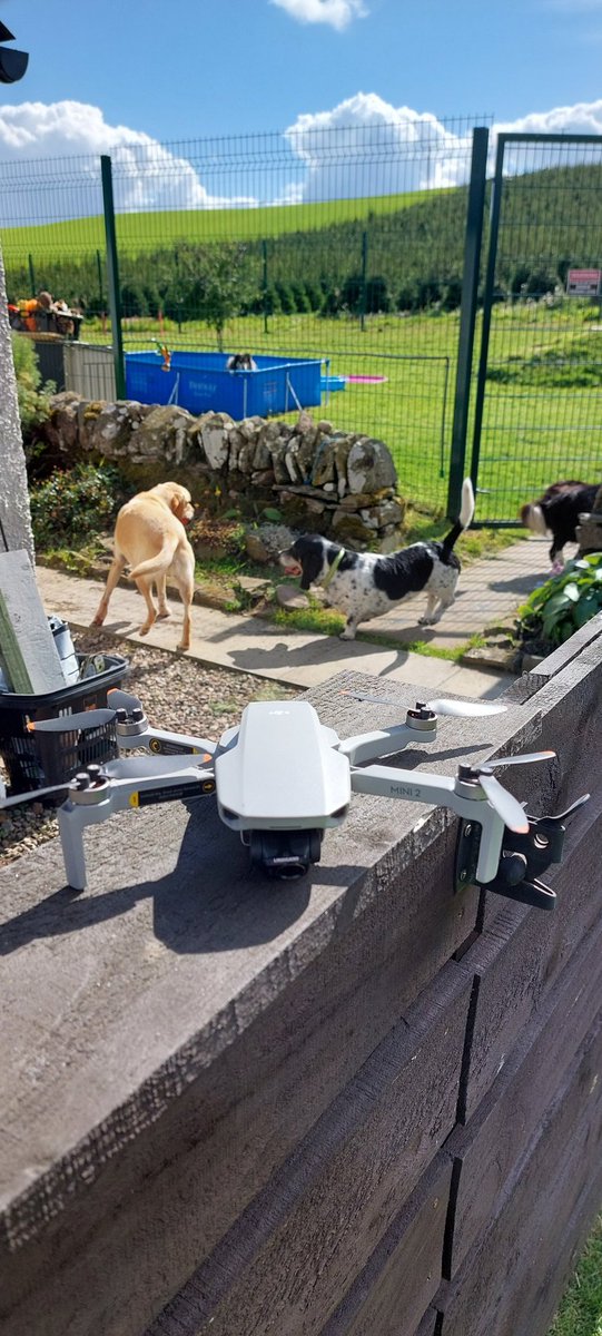 PPG_Photography's tweet photo. Busy morning today doing some drone work for Bounce N Bound

Thankfully we got some fantastic weather and I managed to fight the urge to just play with dogs instead. 🙂

#ppgphotography #mrdrewphotography #dronephotography #dronevideography #dogpark #dogtraining https://t.co/xrlrzaU3mq