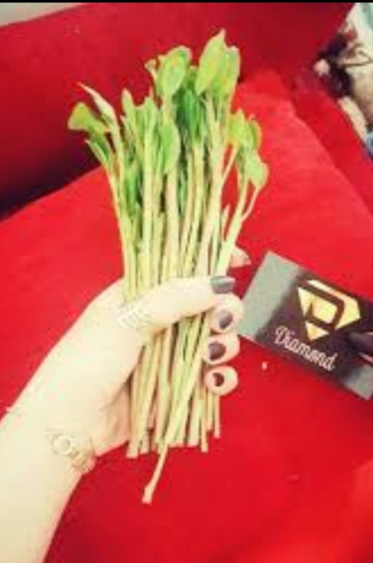 sn_shamkhah's tweet photo. ونبدا سهرتنااااا،،اليوم القاات طعوويعم
وطابت سهرتك، كيف وضعكم ؟؟
#فله #خميسكم 
#رتويت  #مشاااركه https://t.co/AcnwKUHhyd