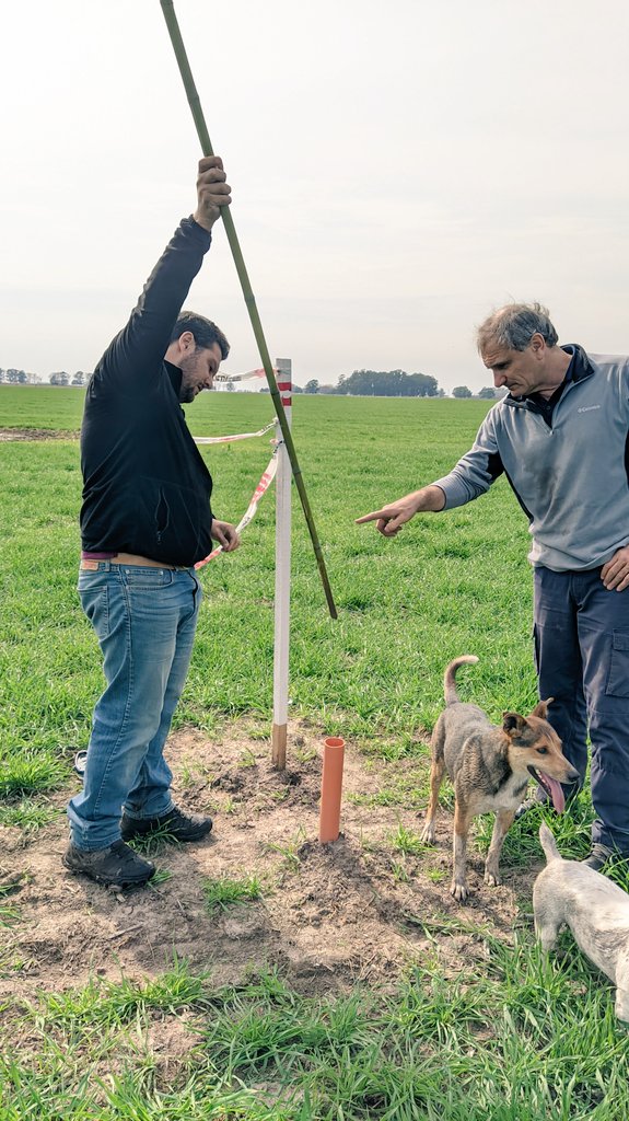 jmg_agro's tweet photo. Ajustando modelos de fertilización dinámicos en trigo/cebada.
Variables: Ambientaciones bien caracterizadas, antecesor, condición actual de cultivos por satélite y a campo, prof de napa, análisis suelo y expectativas de mineralizacion por amb
#AGRONOMIAdeprecision
@LopezdeSabando https://t.co/QfbKQCOhb0