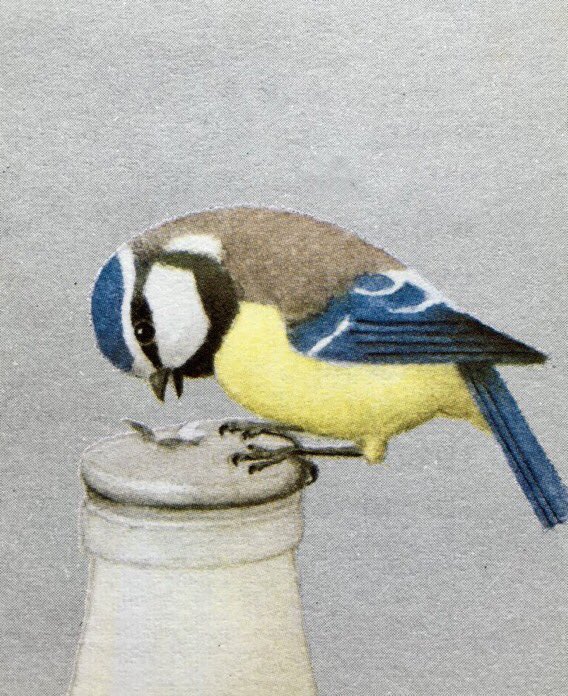 The doorstep milk thief, 1966
#RonaldLampitt