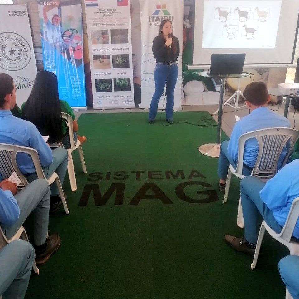 magparaguay's tweet photo. Charla sobre producción de ganado caprino a cargo de técnicos del @vmganaderiapy en la Expo Norte de Concepción https://t.co/ELLtcqRuzh