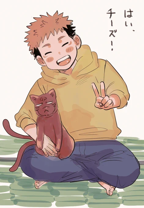 ほっこり🐱 