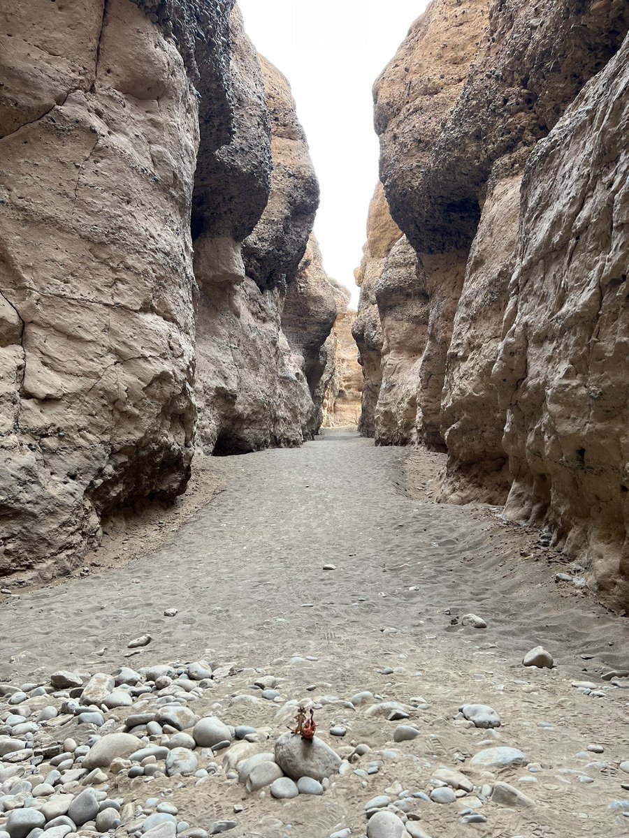 alvaudan's tweet photo. Du fond du #Sesriem_Canyon ou depuis les airs, la magie de la région de #Sossusvlei envoûte #Timon_And_Pumbaa #BackToTheRoots https://t.co/y7WMB3qz24