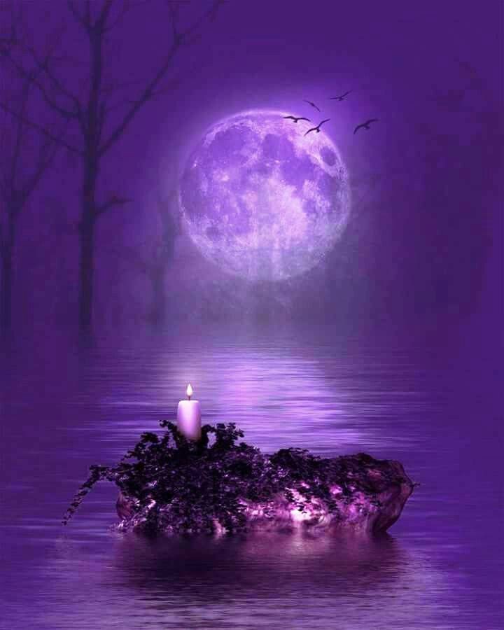 ANGELESBERMEJO1's tweet photo. Buenas noches
Good night 💜💜 https://t.co/4gklxsFYa2