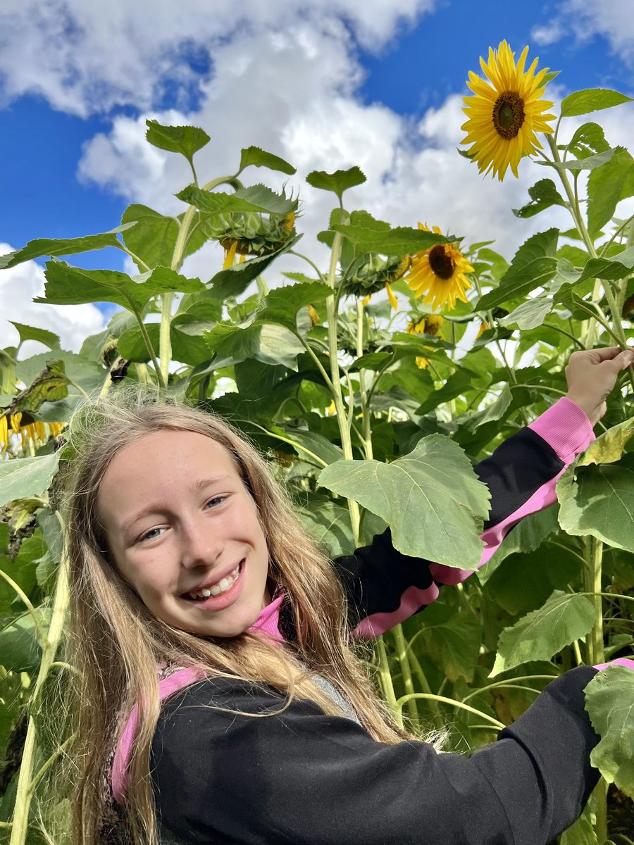 michelle anderson tweet media