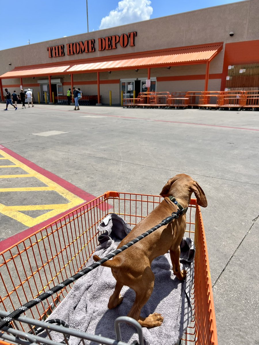 Connor O. Roe tweet media