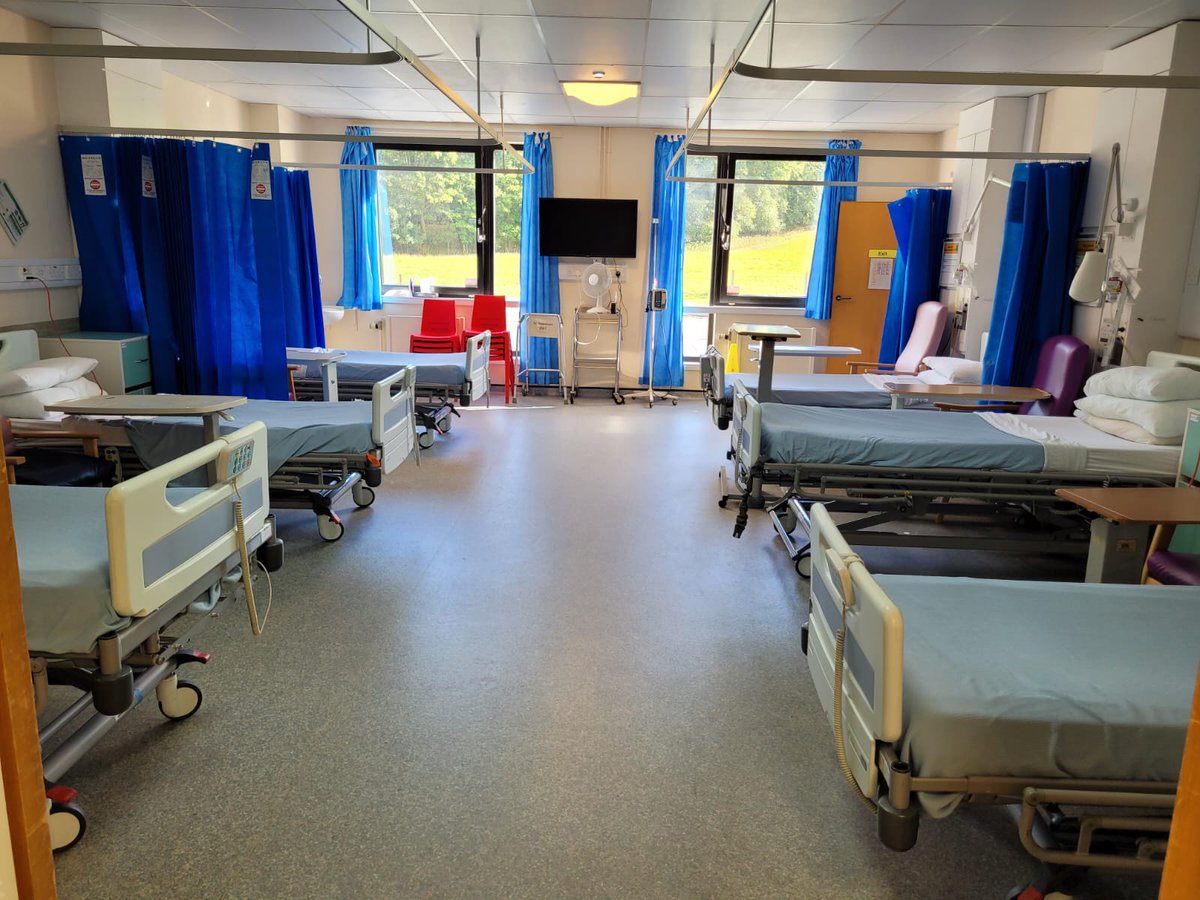 Louise McIntosh tweet media