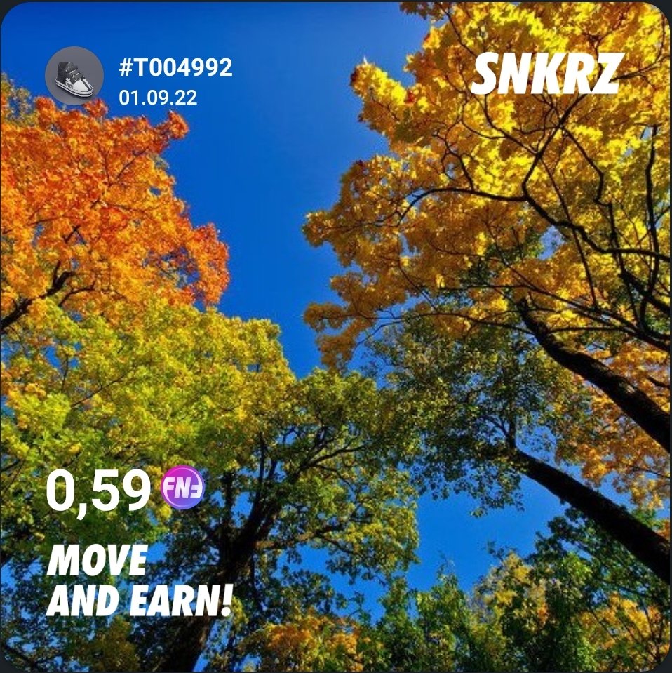 Day 100
01.09.2022 Almaty
Stamina - 20+2Fever

Although I thought that yesterday was the last day of testing, today I managed to spend stamina, not a day without <a href="/theSNKRZ/">SNKRZ</a>

Earned today:
$SKZ - 0
$FNF - 0.9
Total covered 229 km
Total $FNF - 68.10

 #SNKRZ #MoveToEarn