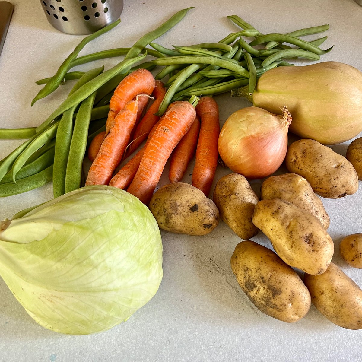 pottyplotters's tweet image. And for tonight we have red pepper and tomato soup, followed by quorn cottage pie with butternut and potato mash accompanied by fresh veg!

A meal containing at least 8 of your 5 a day!!

#allotment #allotmentlife #gyo #growyourown #TopOfThePlots