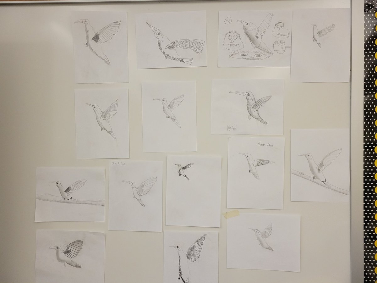 Homeroom drawing competition. We decided we were all winners 🏆.