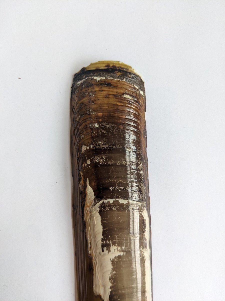 Chloe Victoria Blackman tweet media