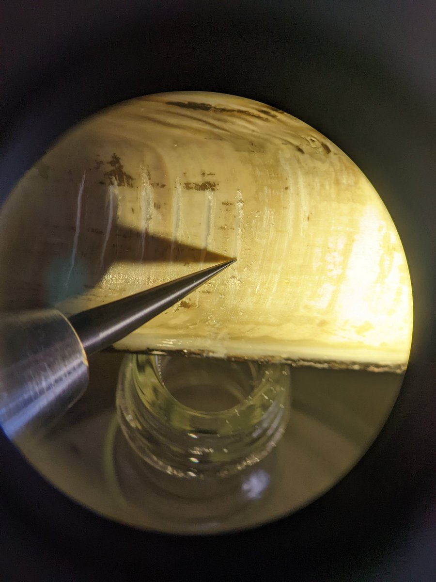 Chloe Victoria Blackman tweet media