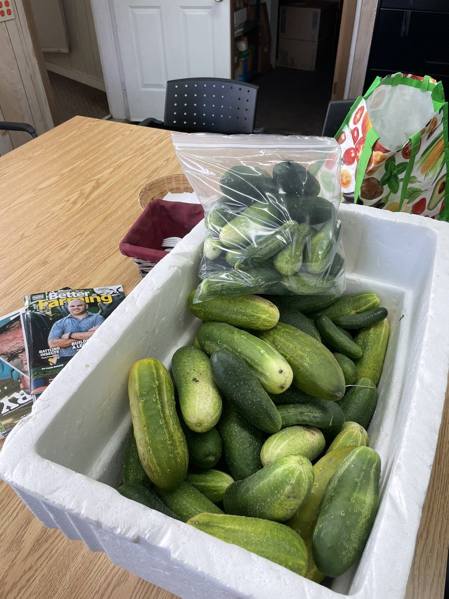 Rob Dreger tweet media