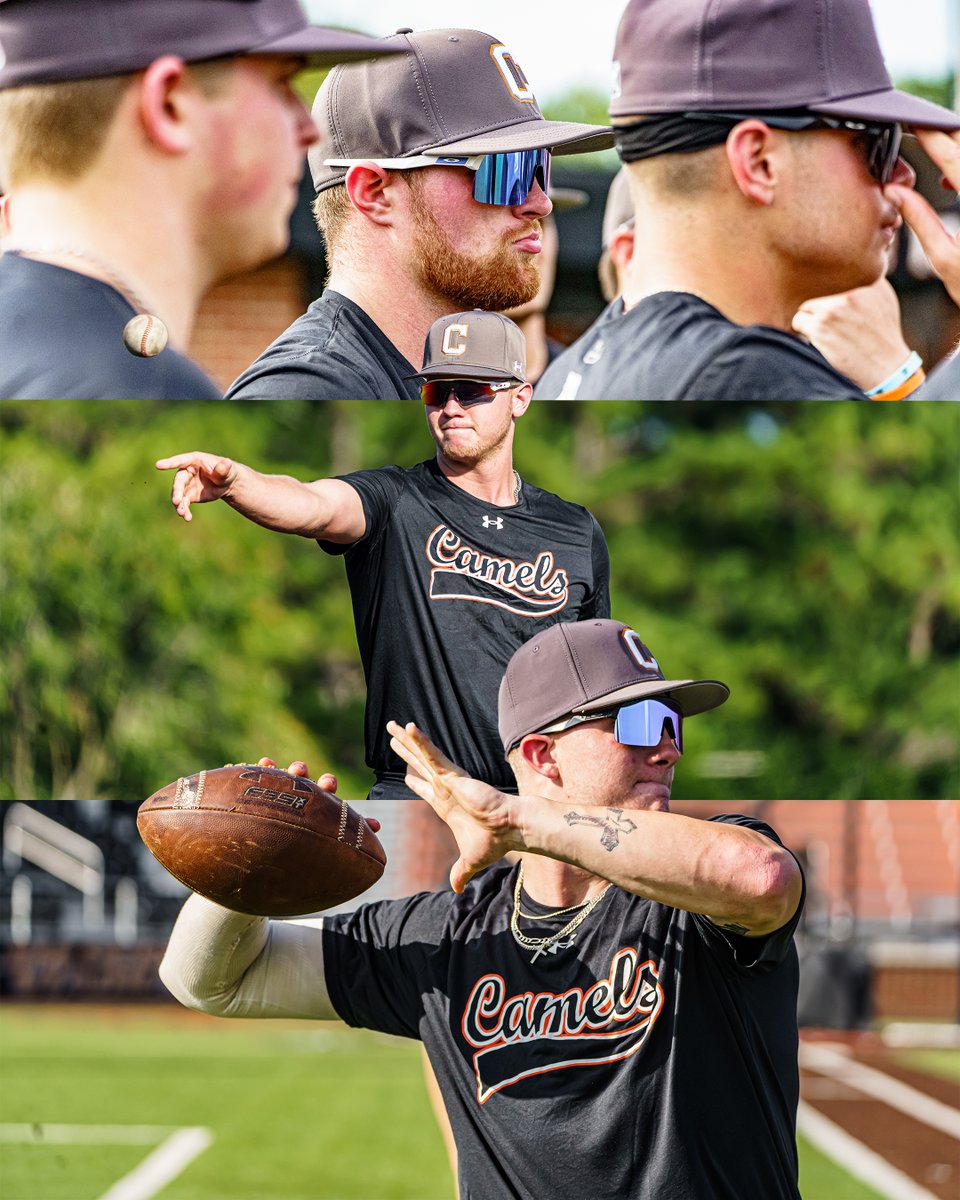 Campbell Baseball tweet media