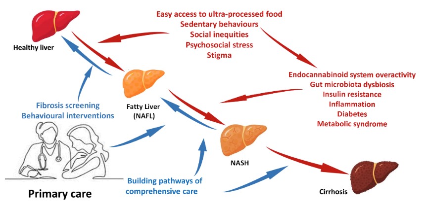 Primary care is taking care of the majority of patients with #NAFLD. Happy to write this piece with my friends. onlinelibrary.wiley.com/doi/10.1111/li… @JVLazarus @SagiZelber @DrJavierCrespo @CUHKGI @CUHKMedicine