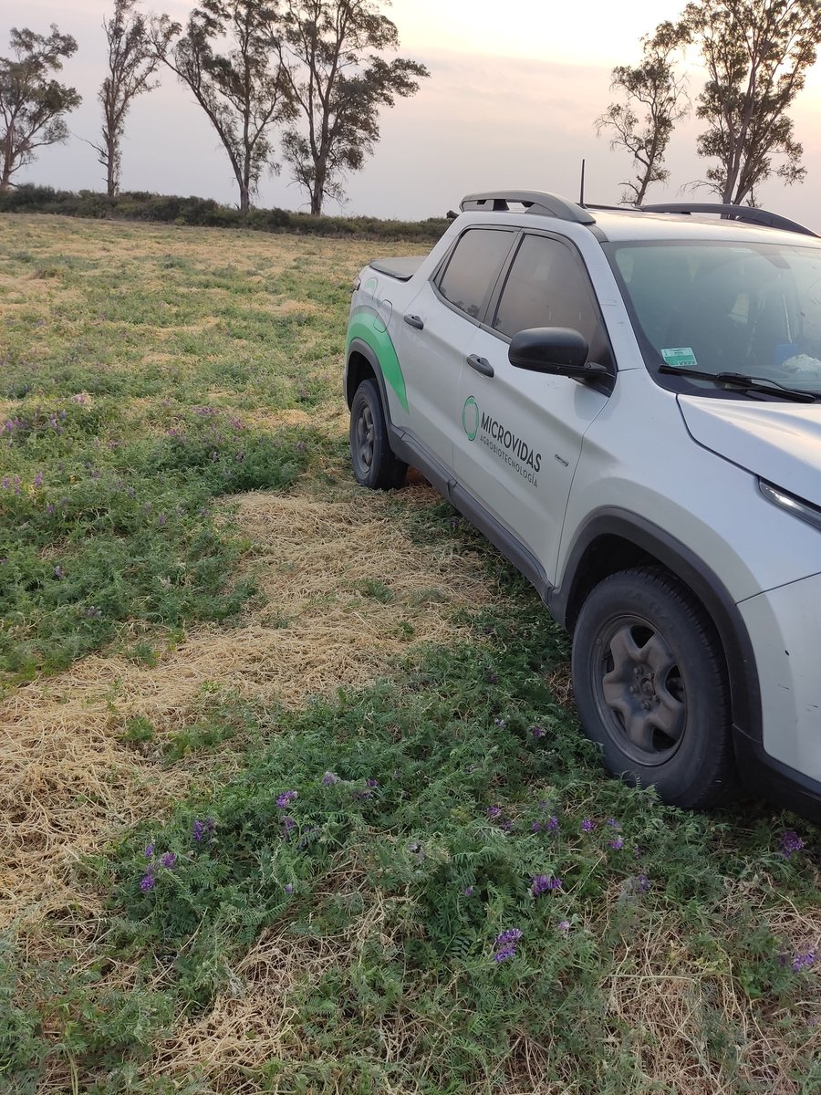 ag_argentinagro's tweet photo. @MicrovidasSRL recorrida lotes vicia!! https://t.co/wmovXRCQnW