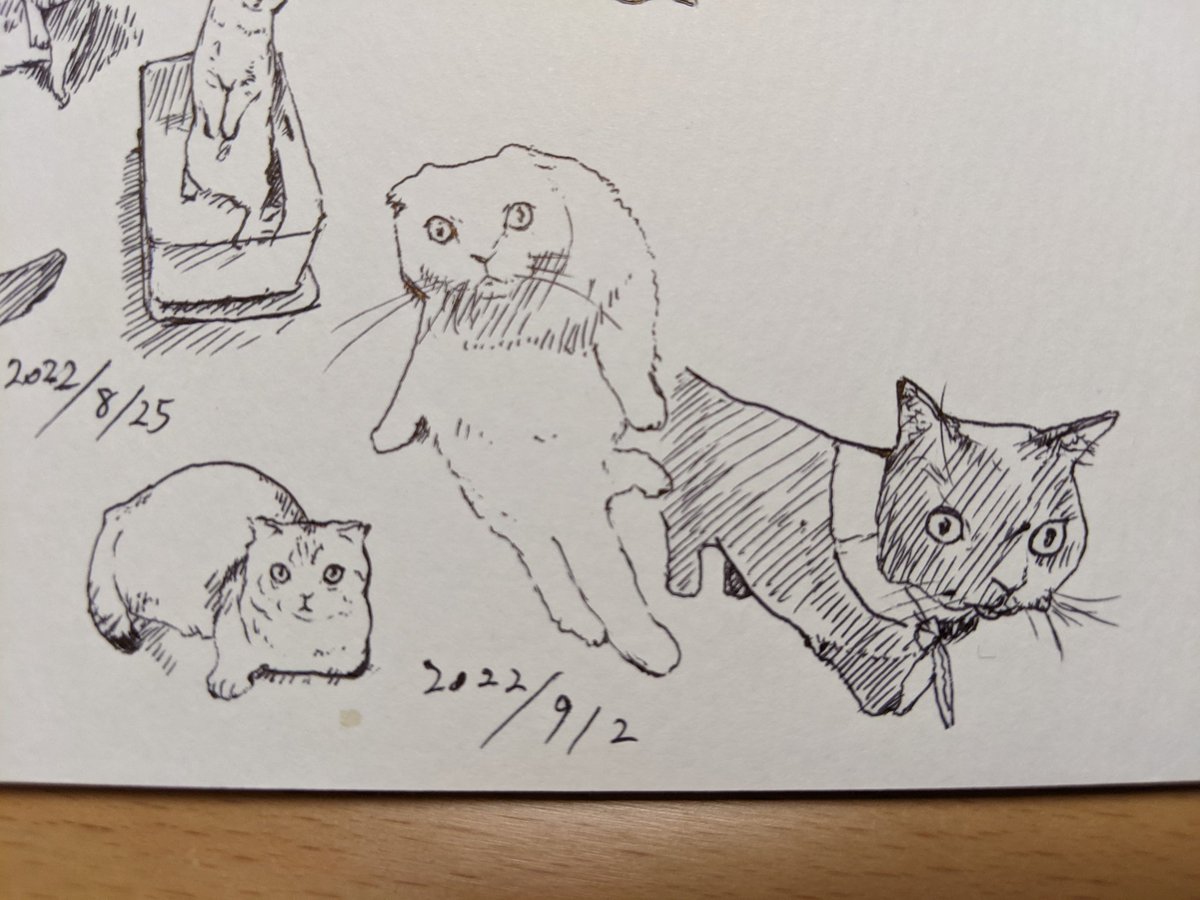 今年もあと4ヶ月かあ… 