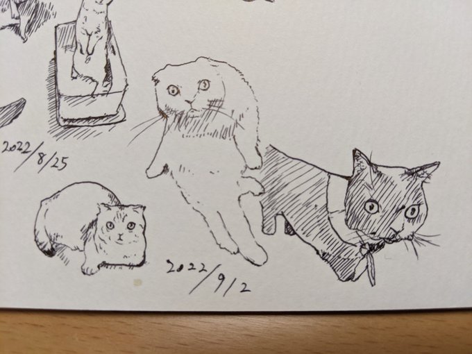 今年もあと4ヶ月かあ… 