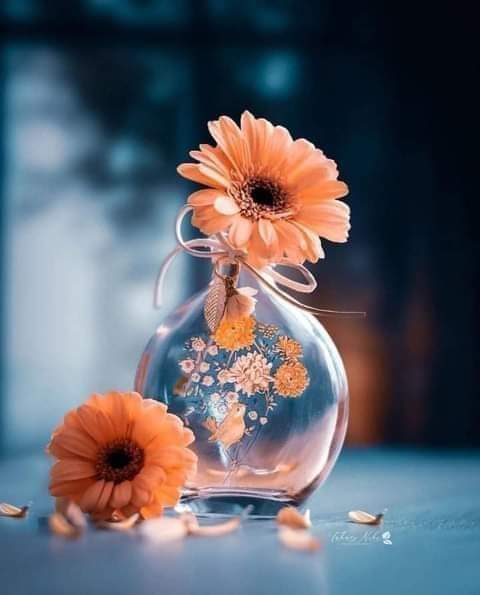 الحيـاة ليست دائماً على هوانا ..!!
ليست كل الطرق تؤدي إلى ما نتمناه 
ليست كل النهايات تسعدنا ....
مع ذلك : 
دائماً هناك مكان جديد .... طريق جديد 
بداية جديدة ..... حياة جديدة .....
فكن على ثقة ..؟؟
أن الله يقدر لك الخير دائما

                           🤍🌸🤍