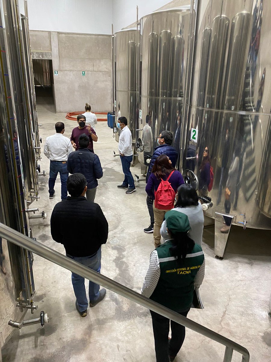 OlivoPro's tweet photo. El día Sábado 27 de Agosto. PROOLIVO participo de una Visita técnica a campos de olivo en La Yarada, invitados por la Dirección Regional de Agricultura de Tacna, con la llegada de una Comisión de trabajo de INDECOPI-Lima. Se visitaron la empresa DEINAL y fundo El Molino. https://t.co/IrbBLlB19w